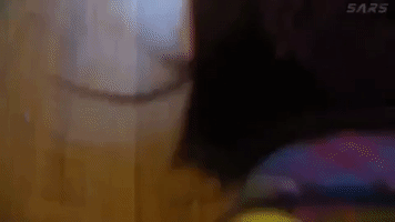Good Morning Japan GIF