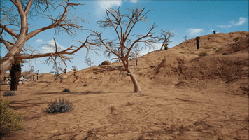 Pubg GIF