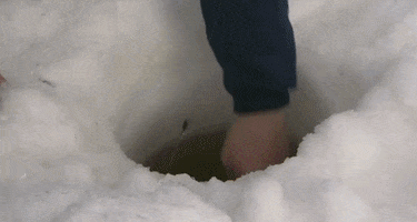 winkelman winter fish cold fishing GIF