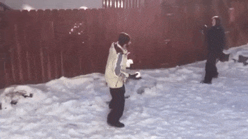 snow fail GIF by America's Funniest Home Videos