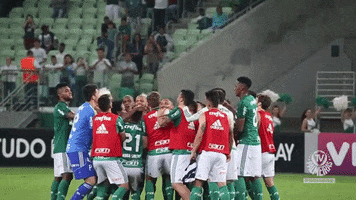 despedida ze roberto GIF by SE Palmeiras