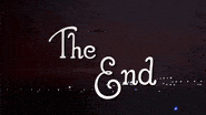 the end airplane movie GIF