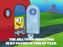 Jellyfished meme gif