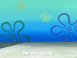 Season 4 GIF by SpongeBob SquarePants