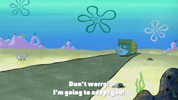 200.gif?cid=fc005b0898161b333622488f373d0dd13b891ffa2cfdb081&rid=200.gif&ct=g