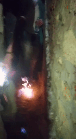 Timid "ktagif " "kta" "catacombes" GIF