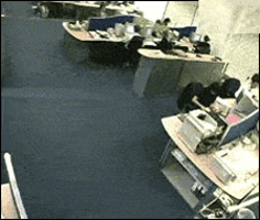 edellegettings  GIF