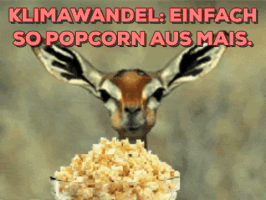 Helllaut popcorn sustainable sustainability climatechange GIF