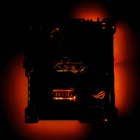 weslavelle  GIF