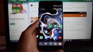 ricardoaguilar2165  GIF