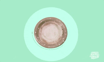 teller plates GIF by funk