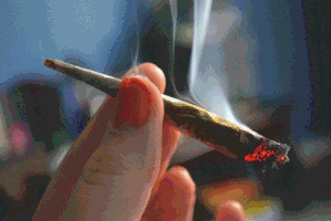 mrx  GIF