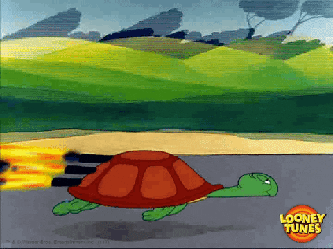 Race Speeding GIF by Looney Tunes - Find & Share on GIPHY