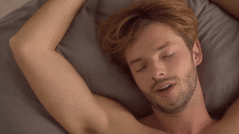 giphy.gif?cid=6c09b9525zl5466oosiiyp91k3bqp8ap7um05b9tx7nx6cju&ep=v1_internal_gif_by_id&rid=giphy.gif&ct=g