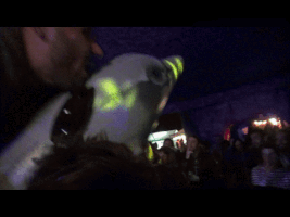 stb  GIF