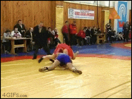 FoggyHedgehog  GIF