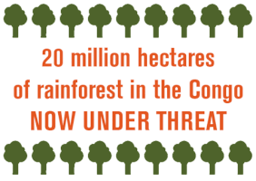 rainforestdefender norway congo rainforest drc GIF