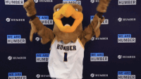Humber Hawks mascot jumping up and down gif.
