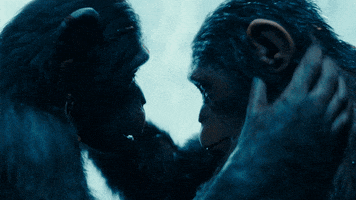 ceasar GIF by War for the Planet of the Apes