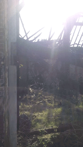 Ruwmantisch urbex ruwmantisch GIF