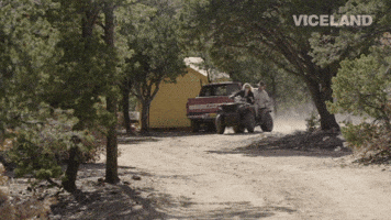 pjdn  GIF