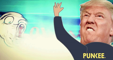 Punkee funny lol trump donald trump GIF