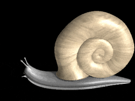 snail GIF by Arithmancy