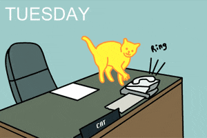 Working Days Of The Week GIF by GIPHY Studios Originals