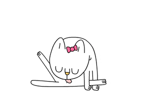 hello kitty cat GIF by CsaK