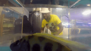 200.gif?cid=fc005b08111b4538a0874089331438431117d8e9c0a17497&rid=200.gif&ct=g