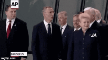 carisabogovski trump GIF