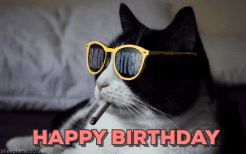 Cat-happy-birthday GIFs - Get the best GIF on GIPHY