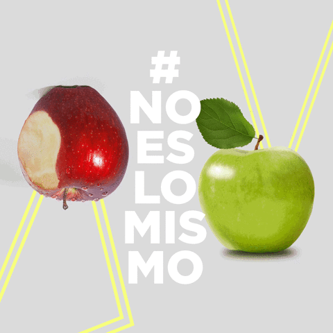 FlipandFlip flip noeslomismo GIF