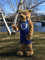 oh no facepalm GIF by Wheaton College (MA)