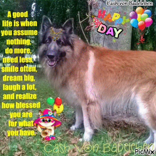 cashvonbadeleben party dog animal day GIF