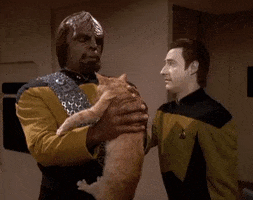 Star Trek Good Cat GIF by reactionseditor