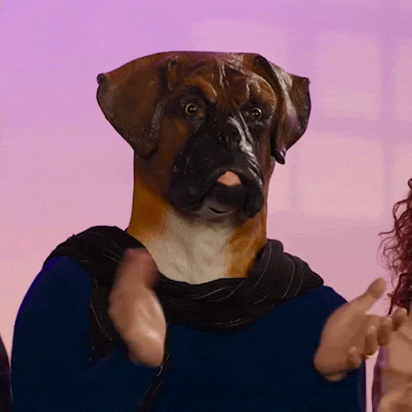 Video gif. A man wearing a very realistic Boxer dog face mask and a blue robe claps enthusiastically.