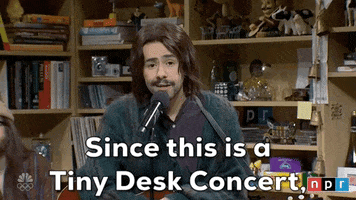 Snl Concert GIF by Saturday Night Live