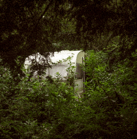 haunted house forest GIF by Nino Paulito