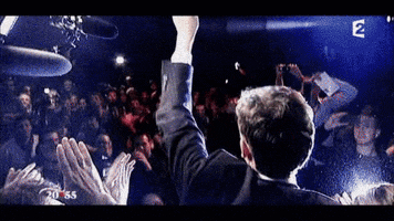 arnaud montebourg rose GIF by franceinfo