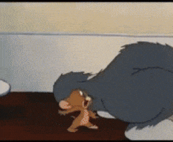 leosandstrom  GIF