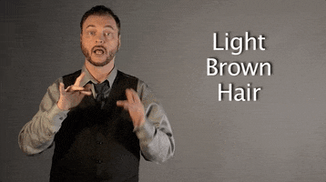 light brown hair asl GIF by Sign with Robert