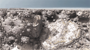 The Fractalist GIF