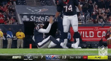 houston texans get up bro GIF by NFL