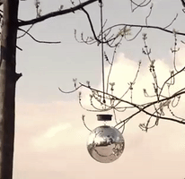 gov sunday disco berlin party in mauerpark GIF