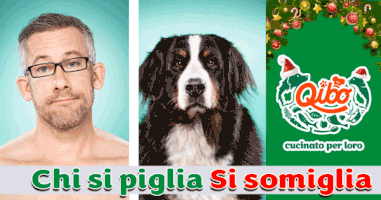 Everyday selfie petcontest dogfood GIF