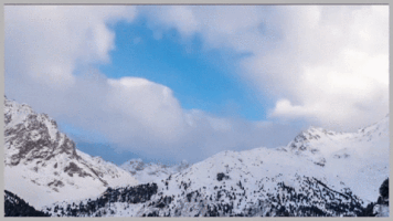 watts  GIF