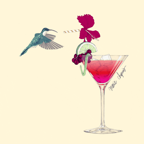 illustration bird GIF by Marie Chapuis