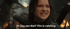 Movie gif. Jennifer Lawrence as Katniss in The Hunger Games Mockingjay Part 1 pointing behind her at fires burning and black smoke. Text, "Do you see that? Fire is catching."