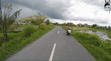 kinging-it scooter epic fail wipeout scooter fail GIF